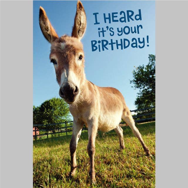 DICKENS INC. - Birthday Card  | Humorous Birthday Card for Anyone - Donkey
