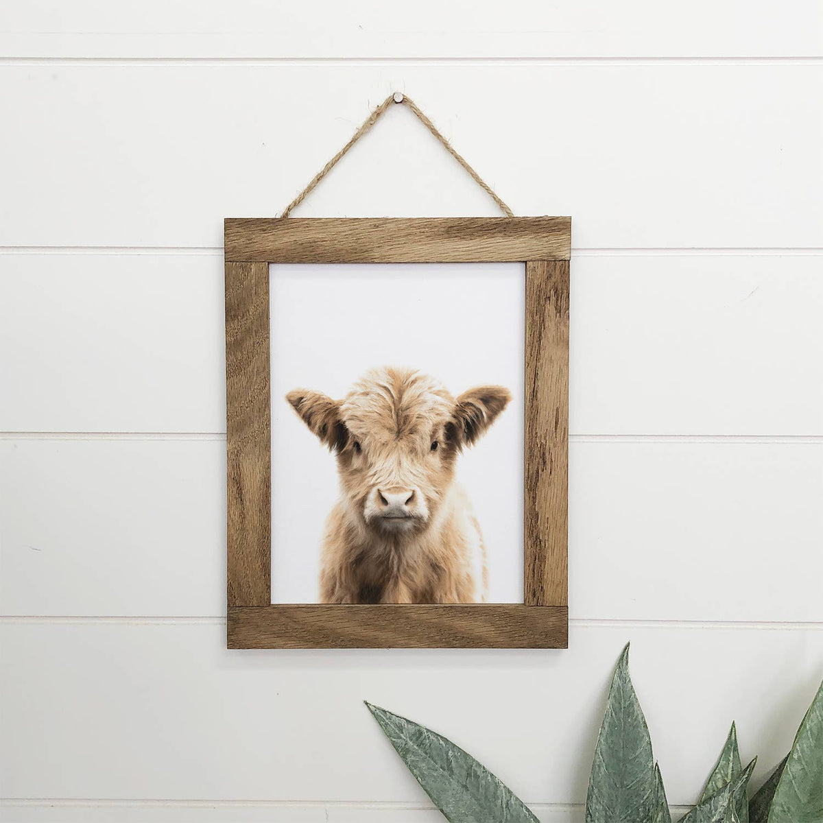 Baby Highland Cow Rustic Wood Wall Art