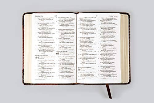ESV Large Print Compact Bible - Brown TruTone Mosaic Cross