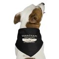 Tehachapi Coordinates  Dog Bandana - black