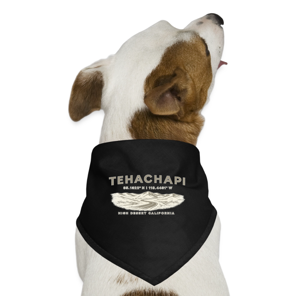 Tehachapi Coordinates  Dog Bandana - black