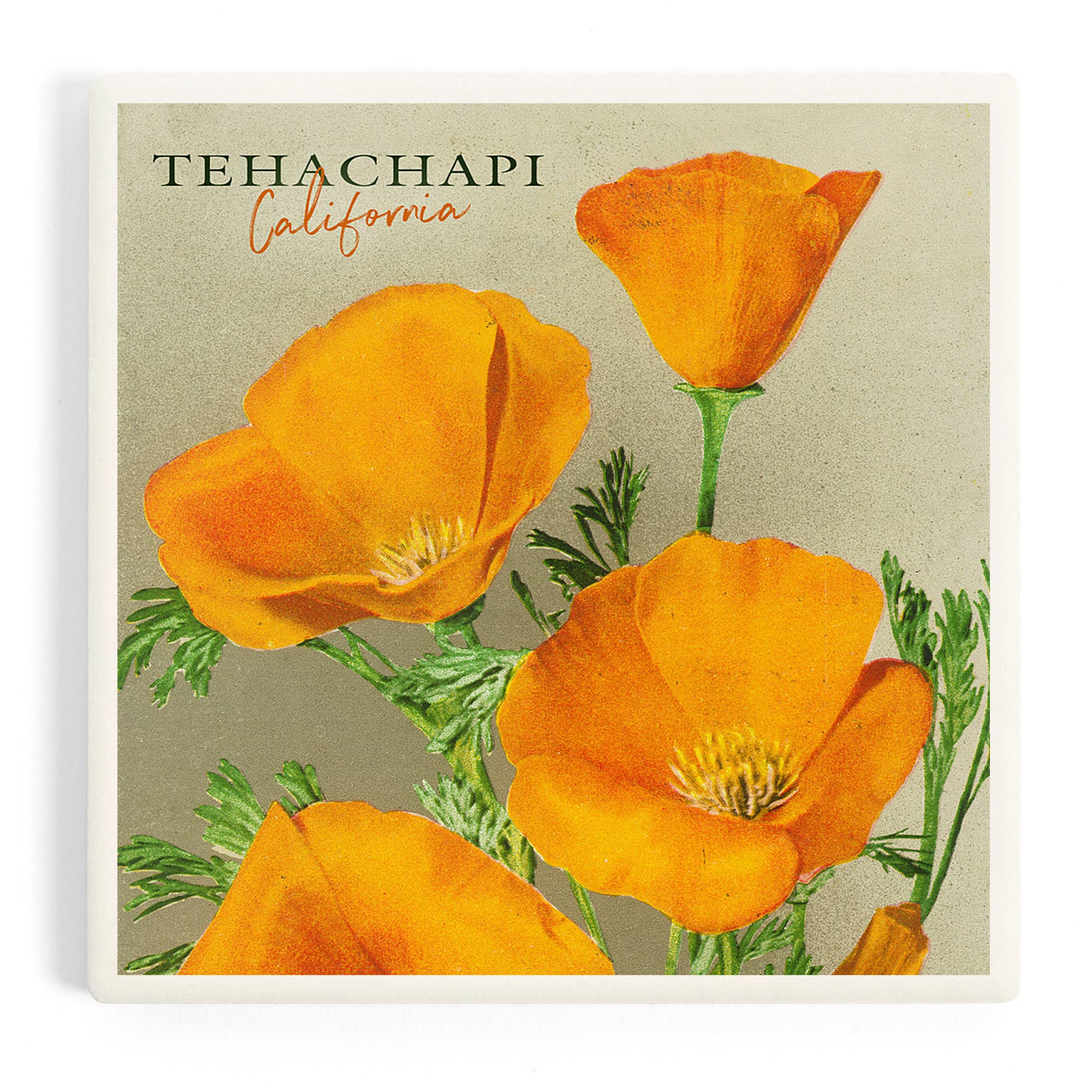 Tehachapi, California Poppy Ceramic Coaster