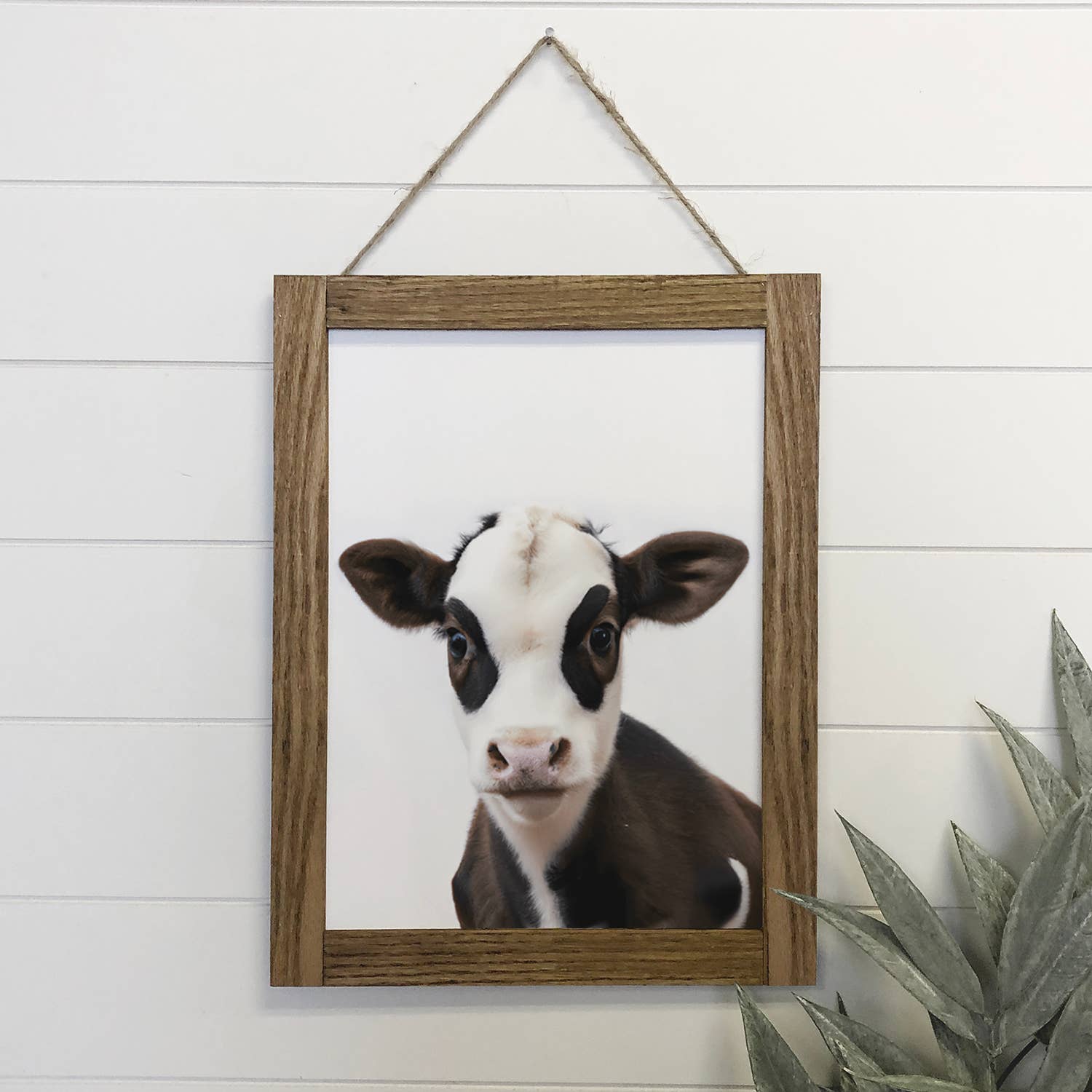 Baby Cow Framed Canvas Wall Art - 12x18 Farmhouse Nursery Decor