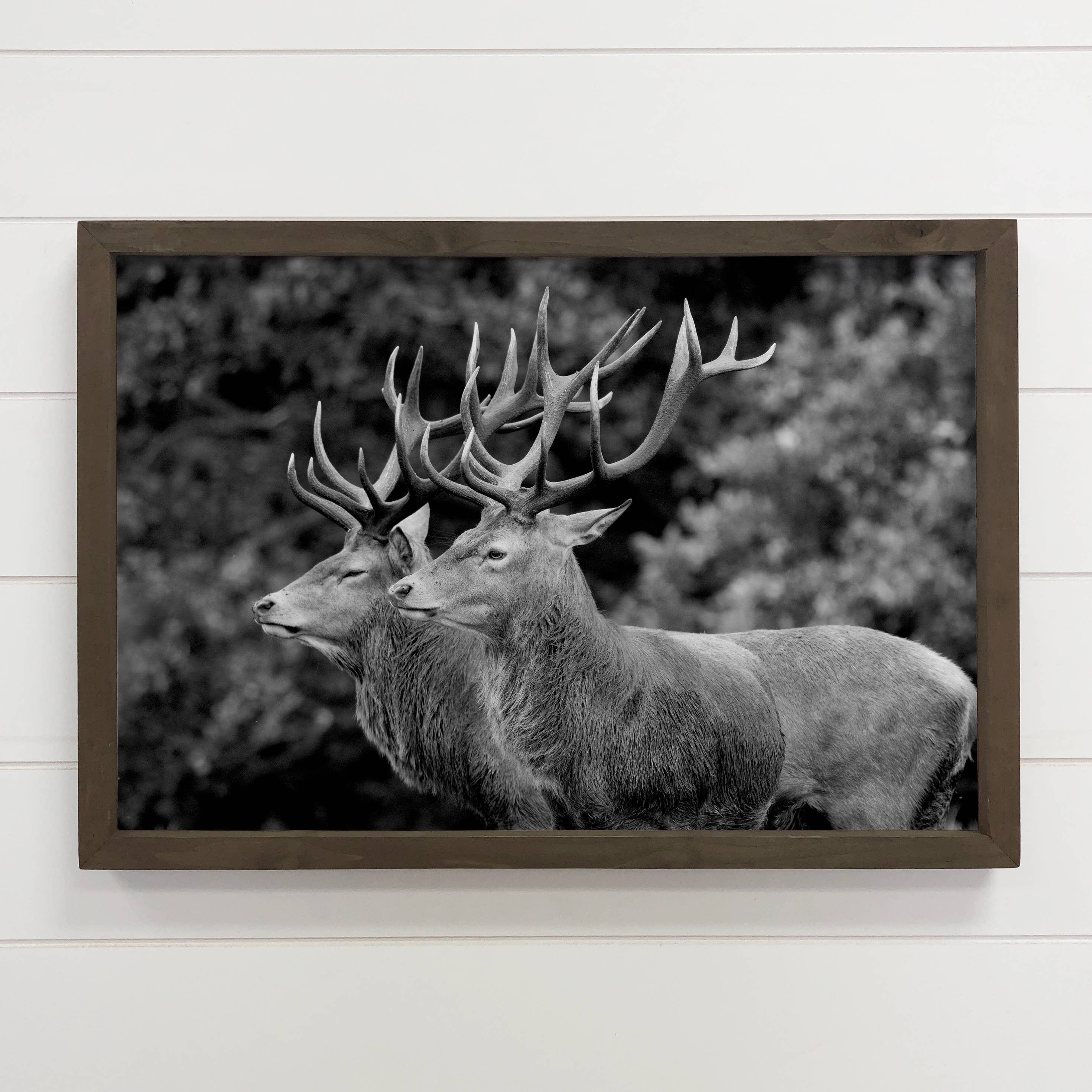 Elk Pair Large Antlers Cabin Canvas Wall Art – 12x18 Medium Canvas with Thick Wood Frame