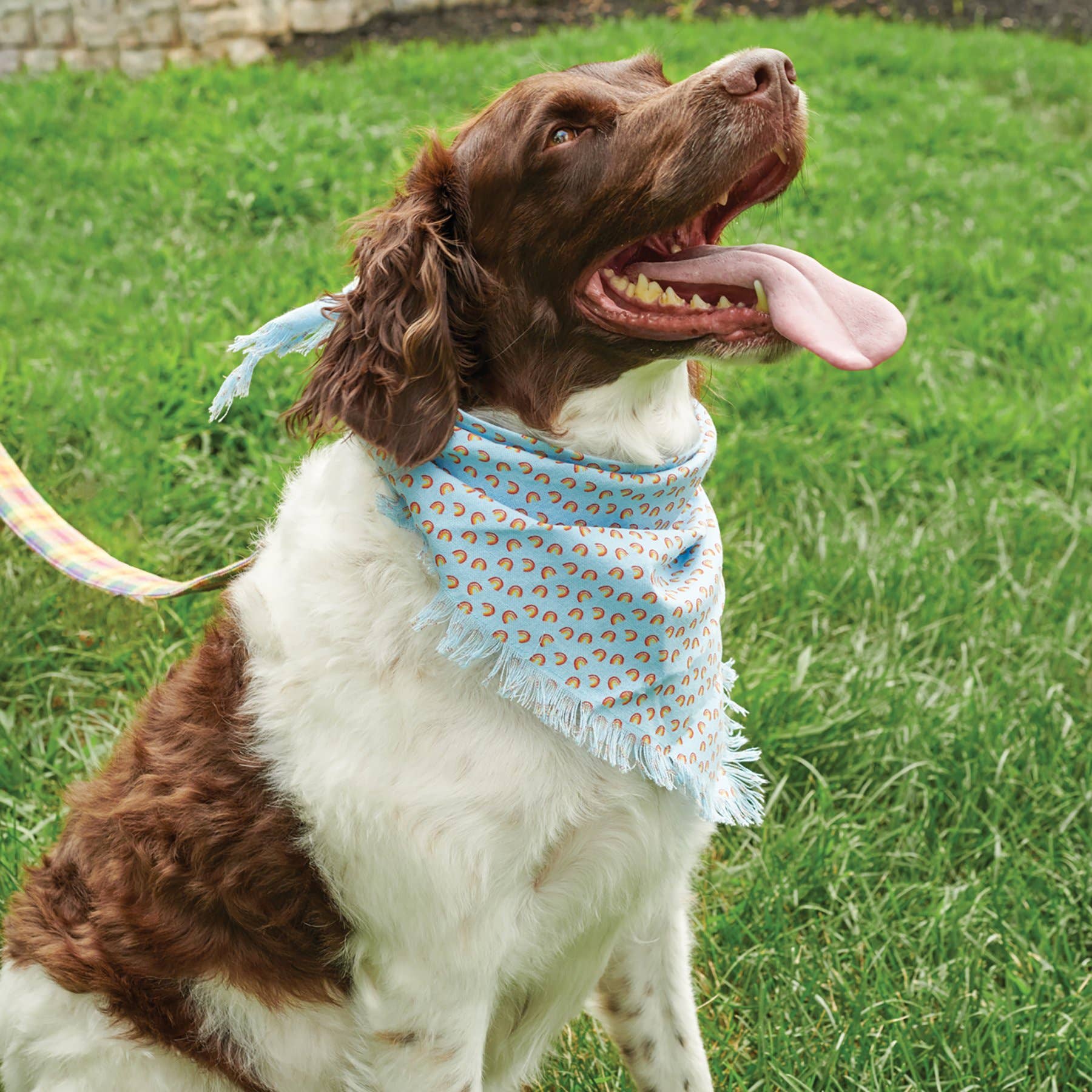 Rainbow Plaid Large Pet Bandana Set – Set of 3