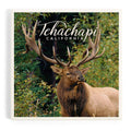 Tehachapi, California Bull Elk Ceramic Coaster