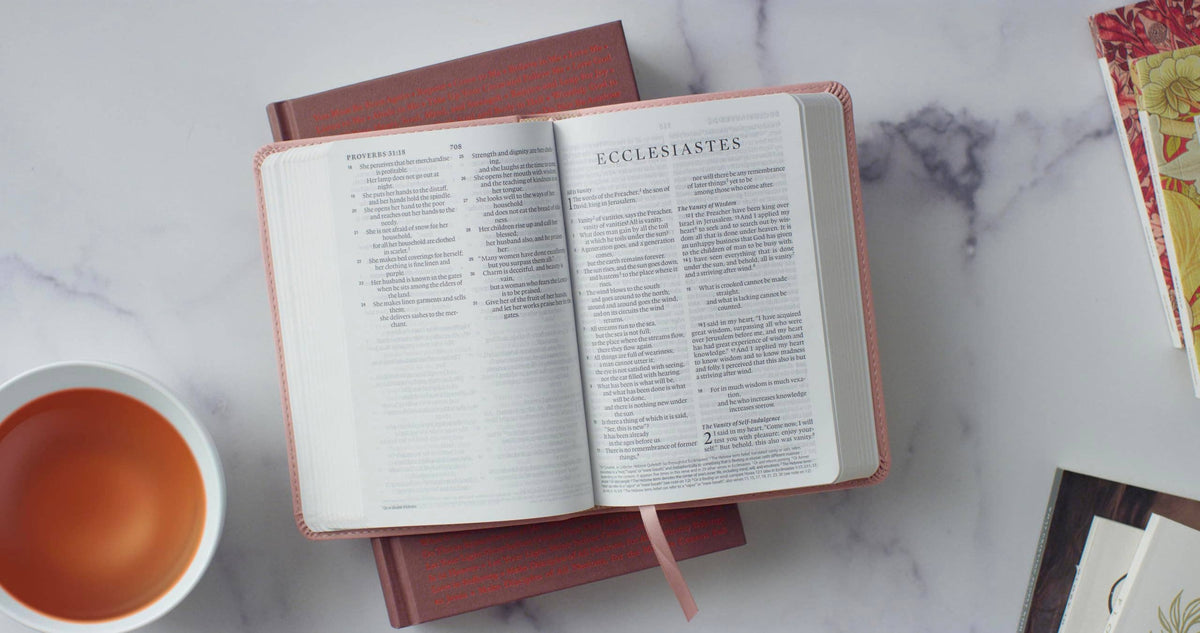 ESV Large Print Compact Bible - Blush Rose TruTone