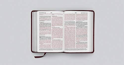 ESV Large Print Compact Bible - Mahogany TruTone Border Design