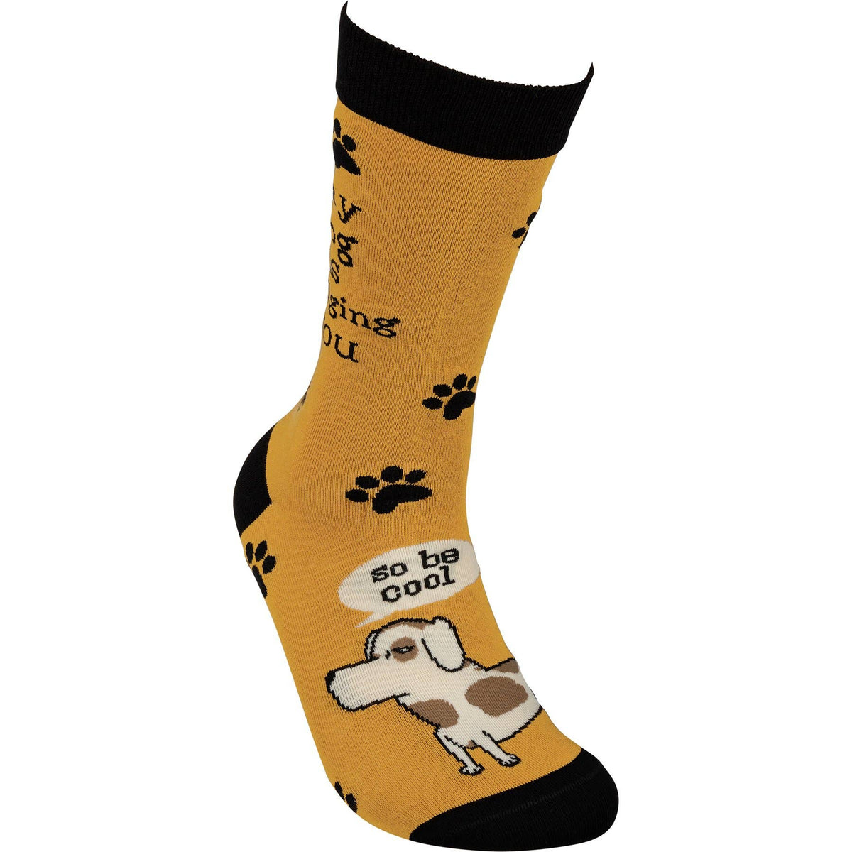 My Dog Is Judging You Novelty Socks