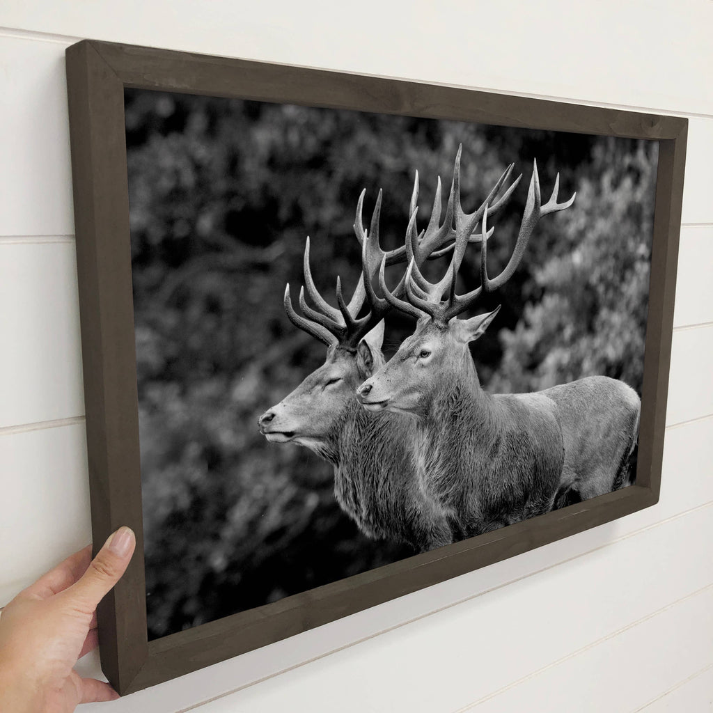 Elk Pair Large Antlers Cabin Canvas Wall Art – 12x18 Medium Canvas with Thick Wood Frame