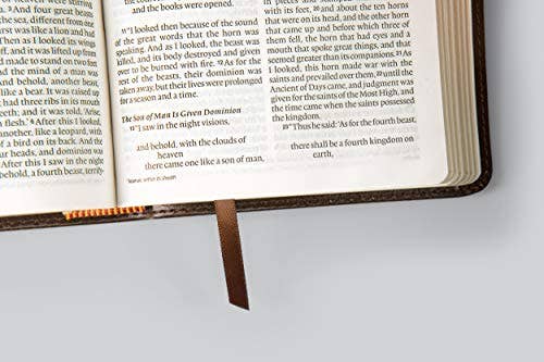 ESV Large Print Compact Bible - Brown TruTone Mosaic Cross