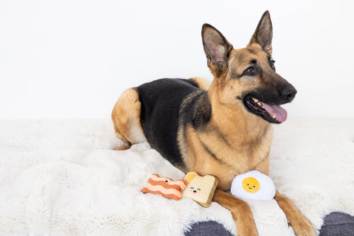 Barkfast Breakfast Dog Toy Set – Egg, Bacon & Toast Squeaker Toys