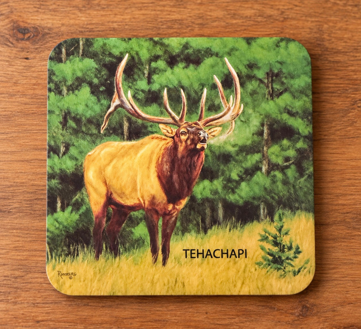 Tehachapi Elk Bugle Coaster