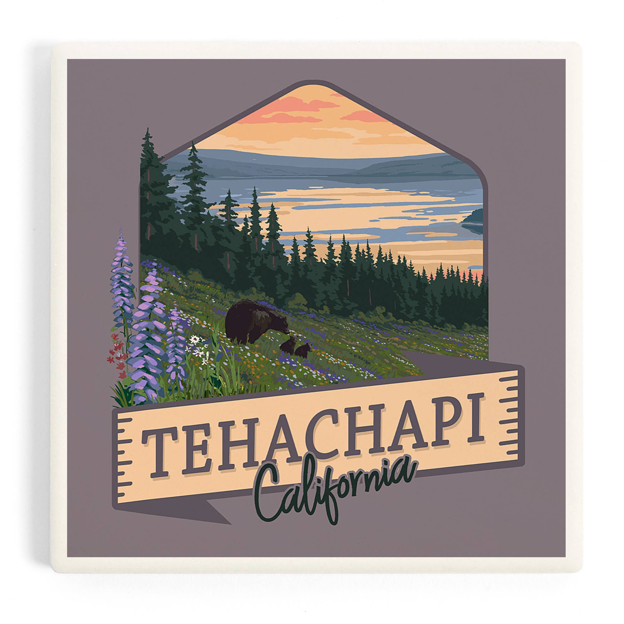 Tehachapi, California Bears & Spring Wildflowers Ceramic Coaster