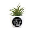 Love You to the Moon & Back Succulent Décor