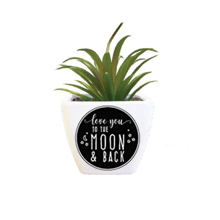 Love You to the Moon & Back Succulent Décor