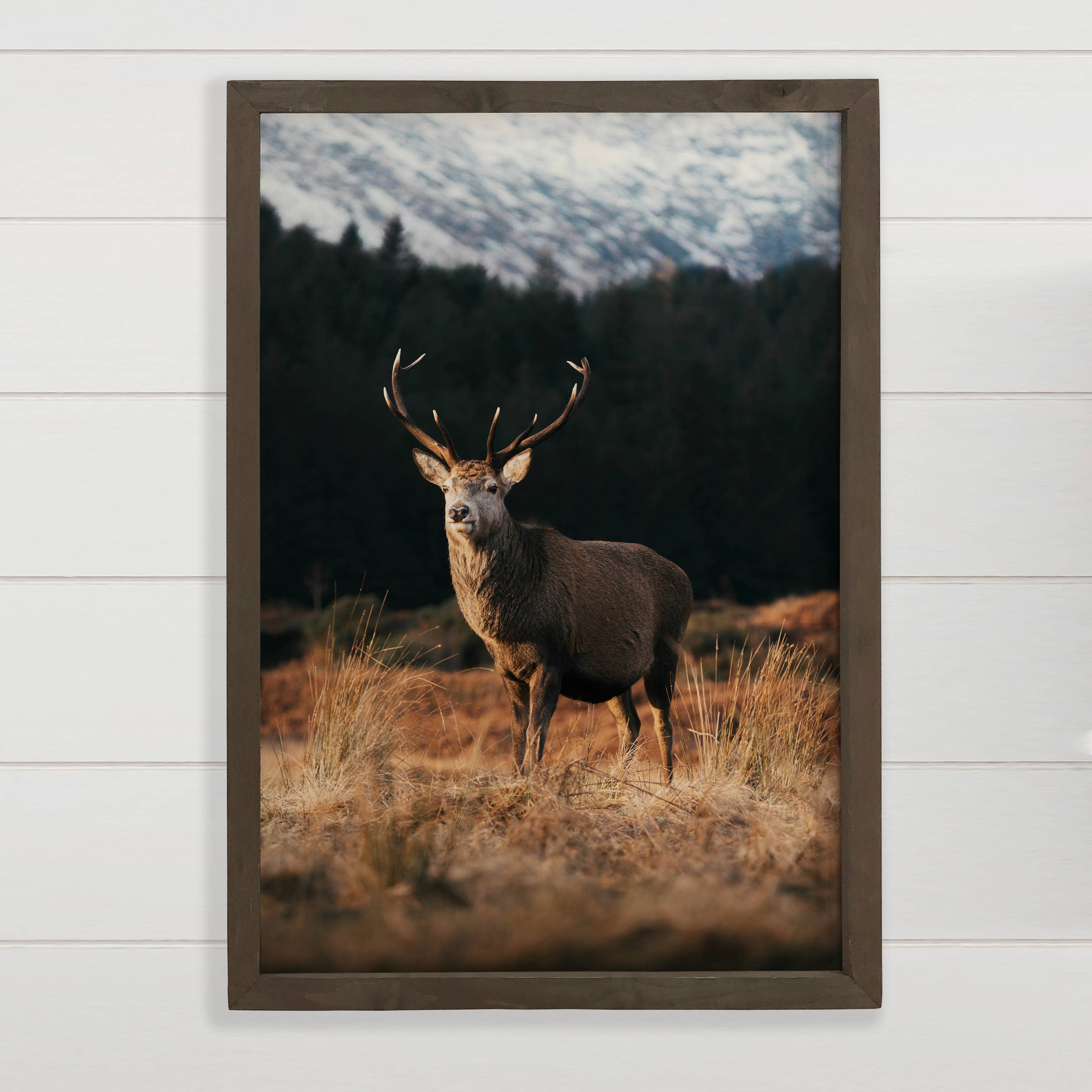 Highland Stag Mountain Cabin Wall Art – 6x10 Mini Canvas with Wood Box Frame