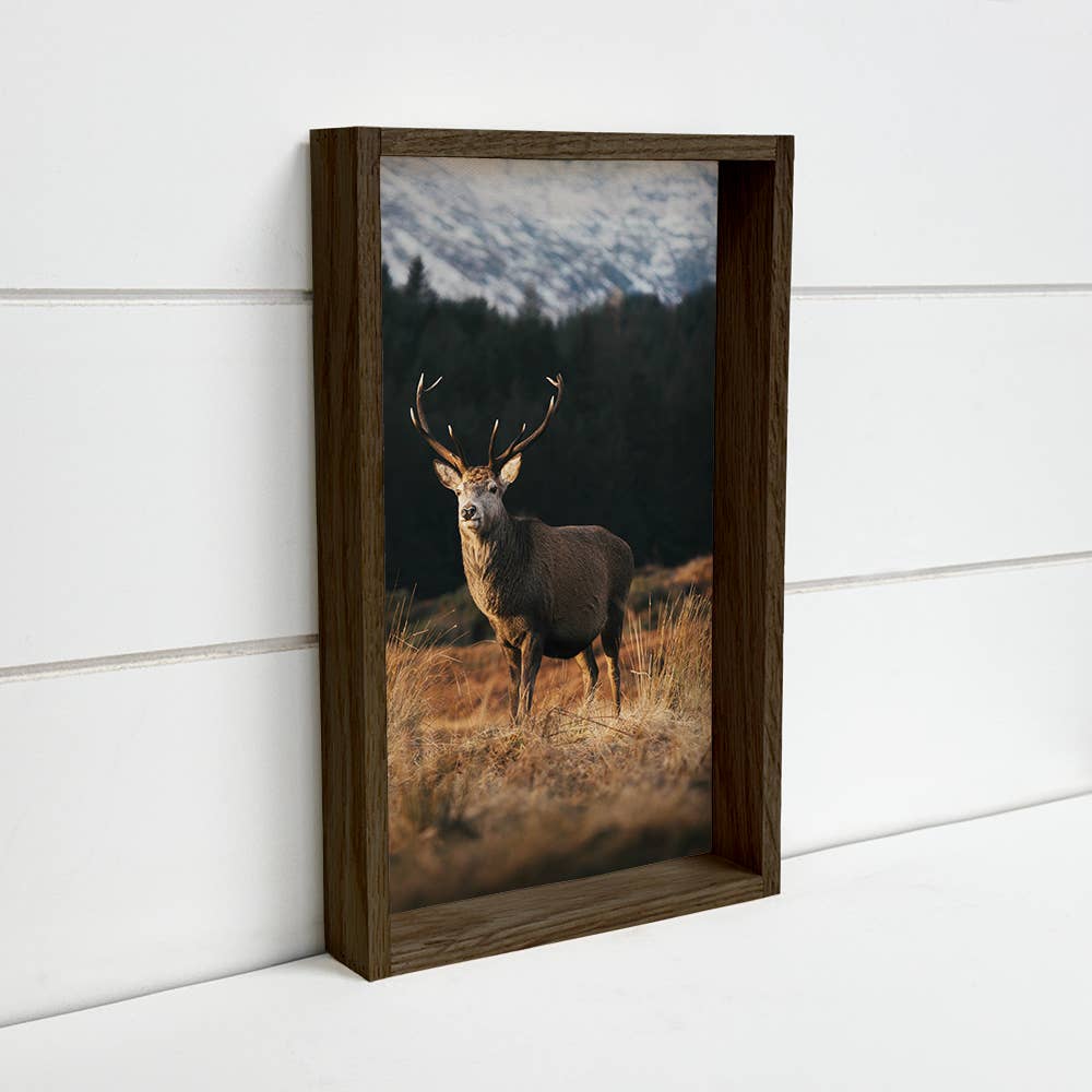 Highland Stag Mountain Cabin Wall Art – 6x10 Mini Canvas with Wood Box Frame