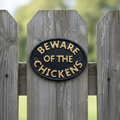 Beware of the Chickens Cast Iron Wall Plaque – Farmhouse Coop Sign, 4.7"