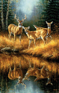 Whitetail Reflections 550-Piece Jigsaw Puzzle