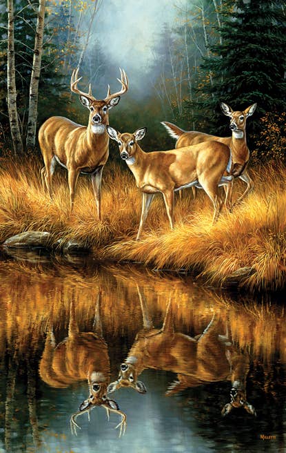 Whitetail Reflections 550-Piece Jigsaw Puzzle